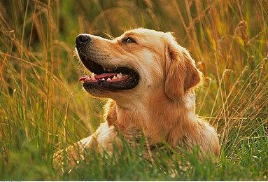 META将于6月2日召开Quest 2023游戏发表会